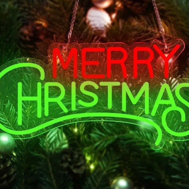 Dimmable LED Neon Light for Christmas Party Wall Decor USB Powered